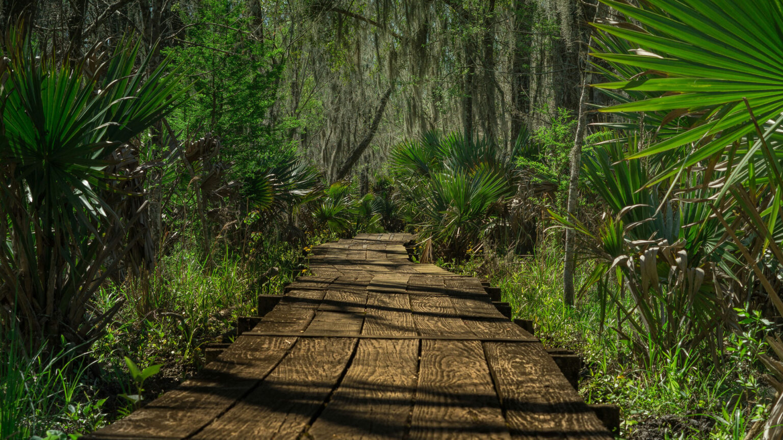 Darien Gap Crossing