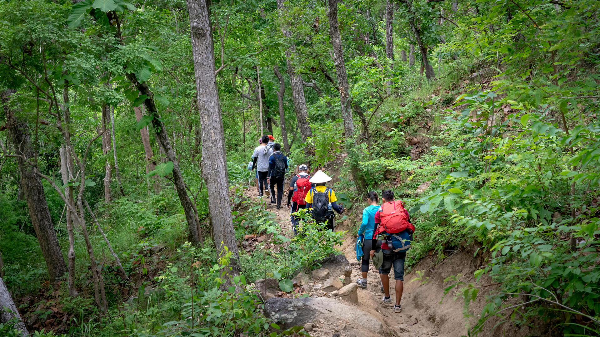 jungle trail, with a backpack and walking stick