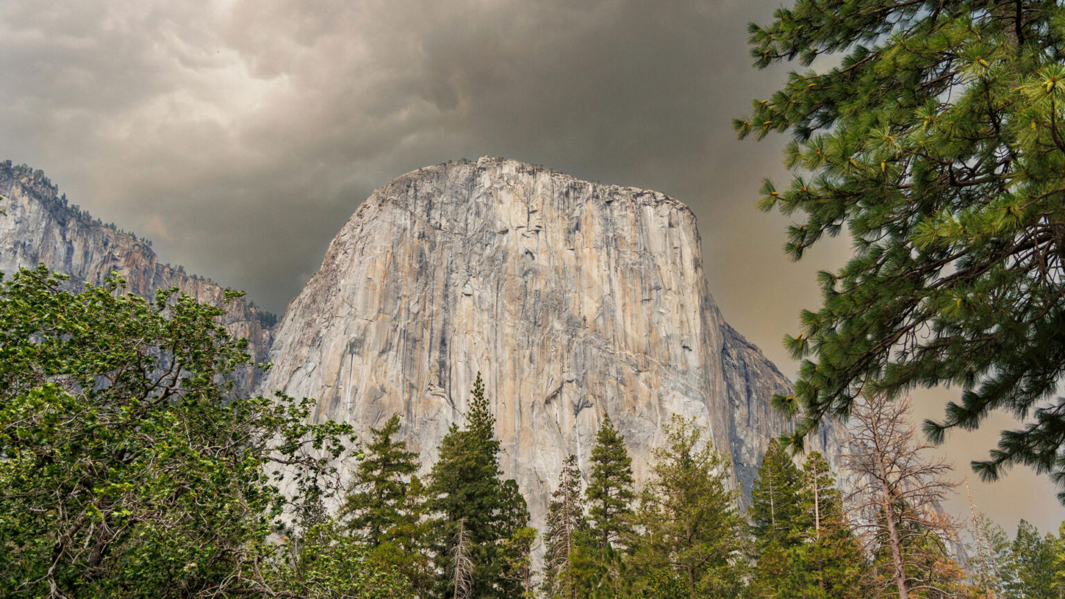 Rock Climbing Yosemite