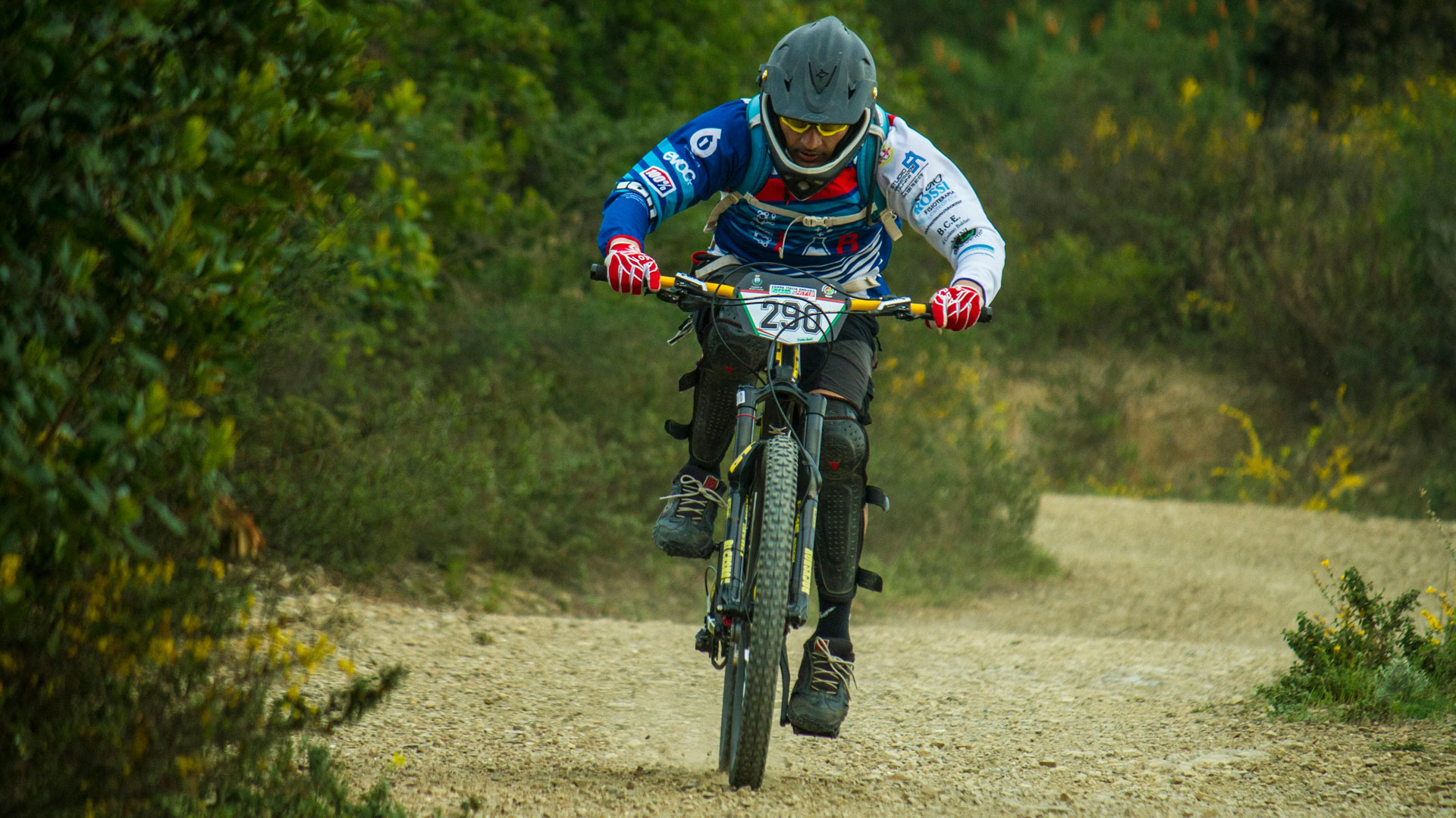 Whistler Downhill Mountain Biking: Ultimate Trail Guide